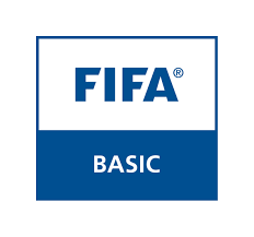 Fifa online 4 ra mắt siêu sự kiện khuyến mãi chuyển sò sang fc cực khủng với mức khuyến mãi 100% giá trị. The Fifa Quality Marks Explained Football Technology Fifa