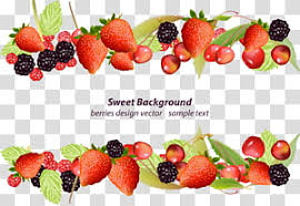 fruit border transpa background png