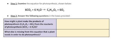 Photosynthesis Brainly