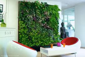 how to add a green wall to your home