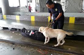 She was tricked into carrying the bag because of. New Drug Trafficking Routes And Smuggling Methods Identified In Interpol Led Operation