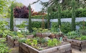 How To Plan Your Edible Garden