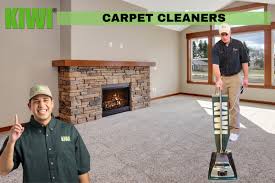 kiwi professional cleaners expert
