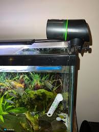 5 Best Automatic Fish Feeders Tested