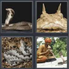 4 pics 1 word snake all answers