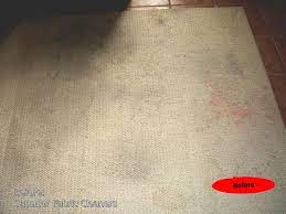 carpet cleaning before after pictures