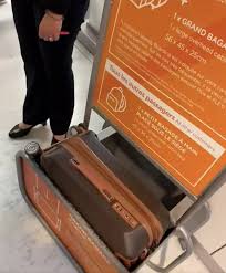 easyjet staff refused their cabin bag