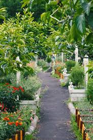 Garden Edging Ideas For Your Backyard