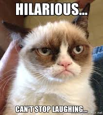 Hilarious... Can&#39;t stop laughing... - Grumpy Cat 2 | Meme Generator via Relatably.com