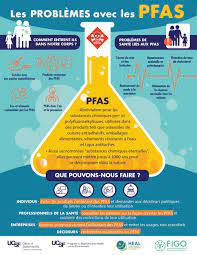 Pfas, short for perfluoroalkyl and polyfluoroalkyl substances, are a group of at least 4,700 synthetic chemicals that have been in commercial production since the 1940s to make surfaces resist stains. Health And Environment Alliance How Pfas Chemicals Affect Women Pregnancy And Human Development Health Actors Call For Urgent Action To Phase Them Out