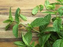 What part of mint is used?