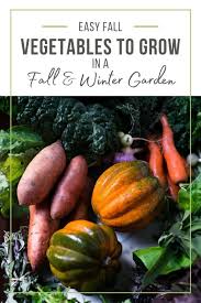 7 great fall vegetables to plant in