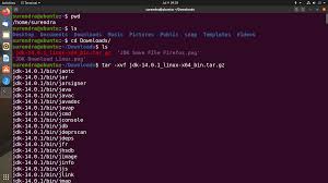 how to install jdk on ubuntu linux
