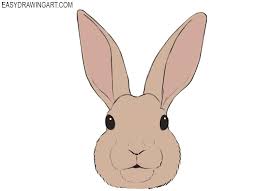 See more ideas about easter crafts, easter diy, easter projects. How To Draw A Bunny Face Easy Drawing Art