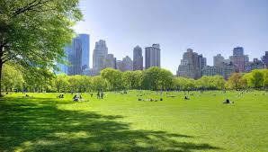 10 things that make a great green city