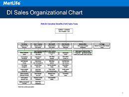 Metlife Organizational Chart 2019