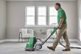 carpet cleaning and care tips for ta