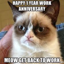 182,466 likes · 1,562 talking about this. 1 Year Work Anniversary Meme Meme Wall