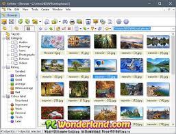 But more importantly it supports more than 400 graphics formats! Xnview 2 49 4 Free Download Pc Wonderland