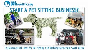 Pet Sitting And Dog Walking Business Idea Pethealthcare Co Za