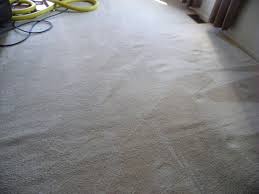 carpet cleaning m m cleaning service