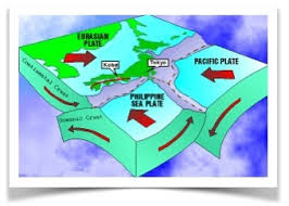 Priestlands Geography  Kobe Earthquake   MEDC Case Study SlidePlayer