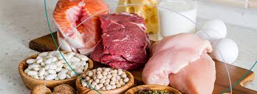 high protein foods after bariatric surgery