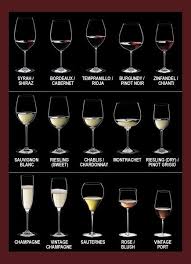 Wine Glass Chart Choosing The Best Shape Of Glass For