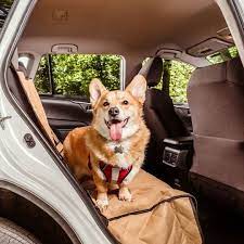 Dog Seat Protection Best Dog Pet