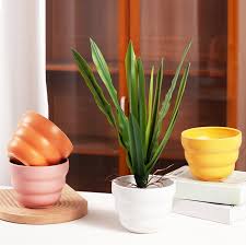 Colorful Ceramic Flower Pot