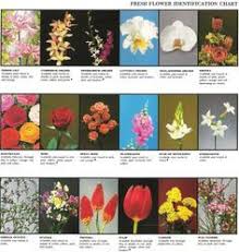 Fresh Flower Identification Chart Be Great Printout With