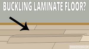 how to fix buckling laminate floors 3