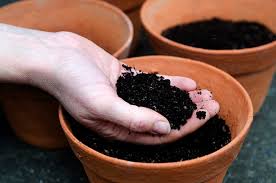 5 Best Potting Soil For Plants