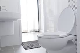 Browse the widest variety of toilets toilet seats and select a new look to your home. Top 5 Best Toilet Seats In 2021 Buyer S Guide Housing Here