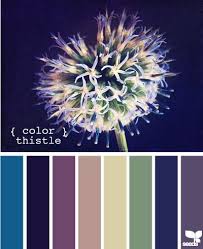 Thistle Paint Color Choices Design
