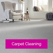 the carpet cleaning company dublin