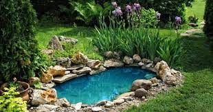 Backyard Pond Ideas For Your Garden