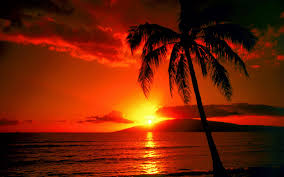 Download 1366x768 ocean beach sunset horizon scenic. 70 Beach Sunset Desktop Wallpaper On Wallpapersafari
