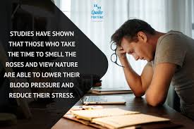 Notice how your shoulders tense, your stomach tightens, you hold your breath. Inspirational Stress Quotes And Stress Relief Sayings To Handle It Quotes Fortune Motivational Inspirational Quotes