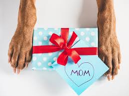 the 9 best dog mom gifts for any