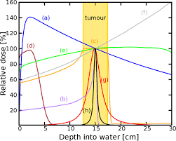 focused very high energy electron beams