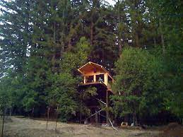 House Of Tree Deep Craft