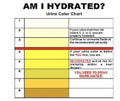 Golocalpdx Tips On Becoming Fully Hydrated