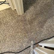 ultra brite carpet cleaning 21 photos