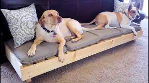 modern platform dog bed large dog bed