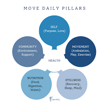 the move daily pillars of health move