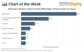 Chart Most Wholesale Cultivators Competing On Marijuana Quality
