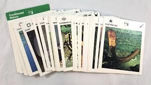 Wildlife treasury was an educational animal encyclopedia for young children published between 1975 and 1981 by leisure books. Leisure Books Ltd 1970 S Wildlife Treasury Cards Martinsburg Flea