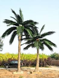 outdoor artificial coconut palm trees