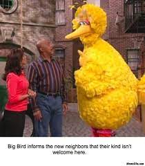 Big bird takes vanity fair's famous lie detector test. Big Bird Memes Memezila Com